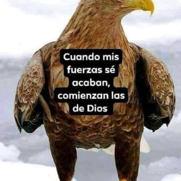 Meet your Posher, Maria - Picture 1 of 1